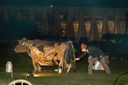 la vache brûle